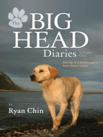 The Big Head Diaries, Volume 1