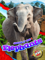 Elephants