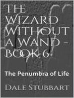 The Wizard Without a Wand - Book 6