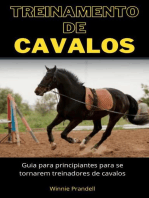 Treinamento de cavalos