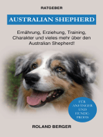 Australian Shepherd: Ernährung, Erziehung, Charakter und vieles mehr über den Australian Shepherd