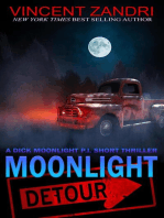 Moonlight Detour: A Dick Moonlight PI Series Short