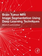 Brain Tumor MRI Image Segmentation Using Deep Learning Techniques