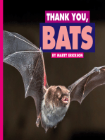 Thank You, Bats