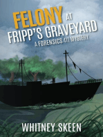 Felony at Fripp's Graveyard: Forensic 411 Mysteries