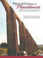 Peregrinos En La Providencia: Reseña Histórica De La Región México De La Congregación De La Divina Providencia De San Antonio, Texas.