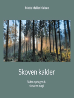 Skoven kalder: Sådan opdager du skovens magi