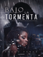 Bajo la tormenta