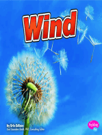 Wind