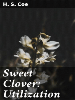 Sweet Clover