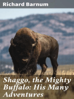 Shaggo, the Mighty Buffalo