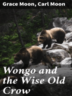 Wongo and the Wise Old Crow