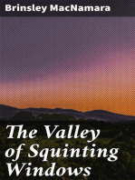 The Valley of Squinting Windows
