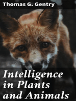 Intelligence in Plants and Animals