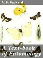 A Text-book of Entomology