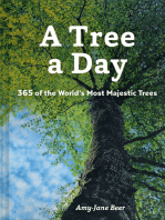 A Tree a Day: 365 of the World’s Most Majestic Trees