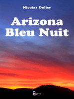 Arizona Bleu Nuit