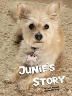 Junie's Story: A Special Wish from a Little Dog who Lost Her Forever Home
