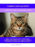 Tabby Cats as Pets