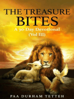 The Treasure Bites: A 30-Day Devotional Vol 3