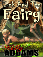 Erek and the Fairy