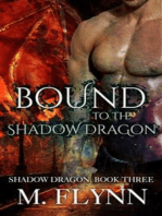 Bound to the Shadow Dragon