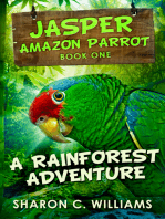 A Rainforest Adventure