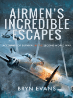 Airmen's Incredible Escapes