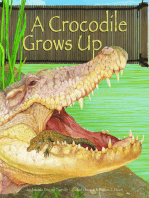 A Crocodile Grows Up