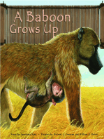 A Baboon Grows Up