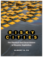 Risky Cities: The Physical and Fiscal Nature of Disaster Capitalism