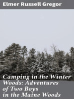 Camping in the Winter Woods