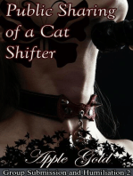 Public Sharing of a Cat Shifter