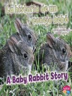 La historia de un conejo bebé/A Baby Rabbit Story