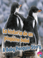 La historia de un pingüino bebé/A Baby Penguin Story