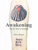 Awakening: On My Way To Santiago