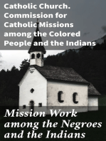 Mission Work among the Negroes and the Indians: What Is Being Accomplished by Means of the Annual Collection Taken Up for Our Missions