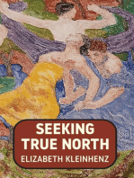 Seeking True North