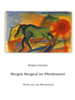 Bergab Bergauf im Pferdesattel: Nicht nur ein Pferdebuch