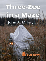 Three-Zee in a Maze