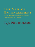 The Veil of Entanglement: Calm Abiding and Insight Practice - An Account of a Journey