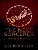 The Next Sorcerer