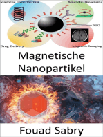 Magnetische Nanopartikel: Wie können magnetische Nanopartikel Krebszellen beim Mittagessen grillen?