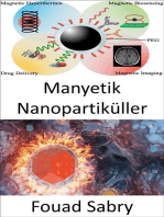 Manyetik Nanopartiküller: Manyetik nanopartiküller kanser hücrelerini öğle yemeğinde nasıl barbekü yapabilir?
