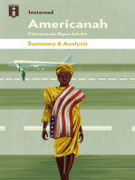 Americanah: by Chimamanda Ngozi Adichie | Summary & Analysis