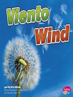 Viento/Wind