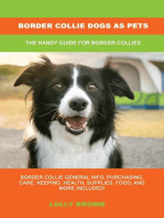 Border Collie Dogs as Pets