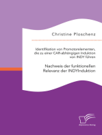 Identifikation von Promotorelementen, die zu einer CAR-abhängigen Induktion von INDY führen. Nachweis der funktionellen Relevanz der INDYInduktion