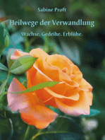 Heilwege der Verwandlung