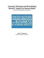 Assessing, Managing and Remediating Business' Impacts on Human Rights: A Guide for Sustainable Entrepreneurs